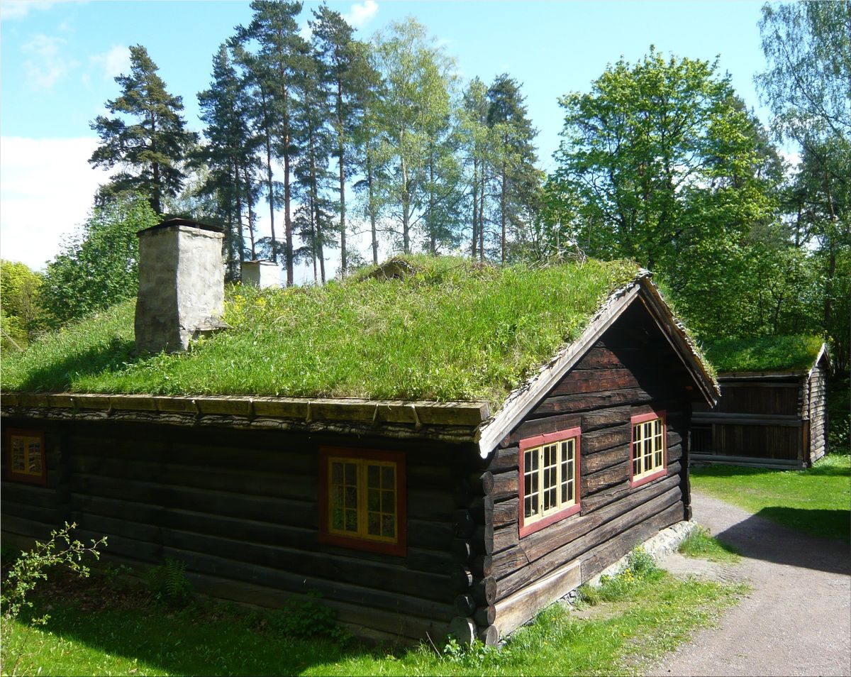 Зеленая крыша читать. Зеленая кровля Норвегия. Зеленая кровля Скандинавия. Традиционное финское жилище 19 века. Дома с травяной крышей Норвегия.