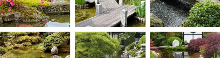 Tips and ideas for landscaping in a Japanese garden