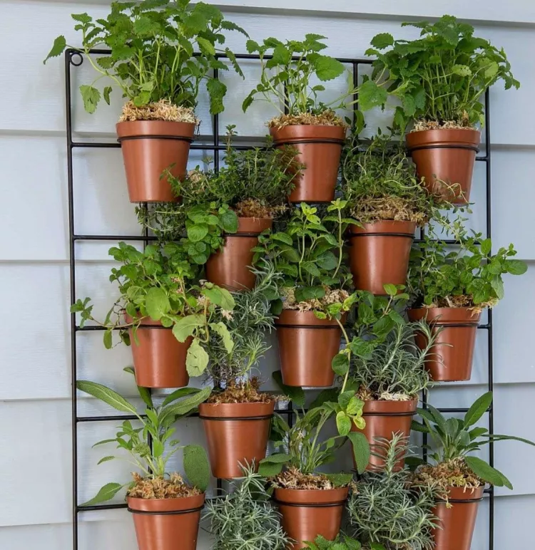 balcony plants vertically