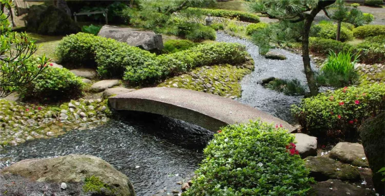 Zen gardens