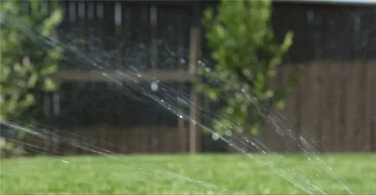 Signs That You Need a Sprinkler Repair