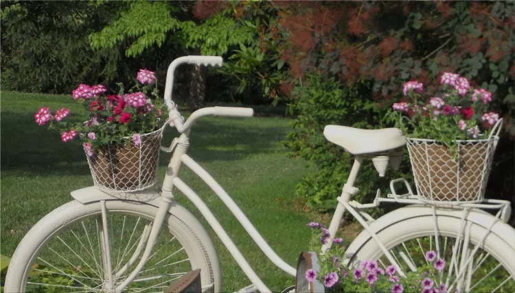 bicycle in a vintage garden