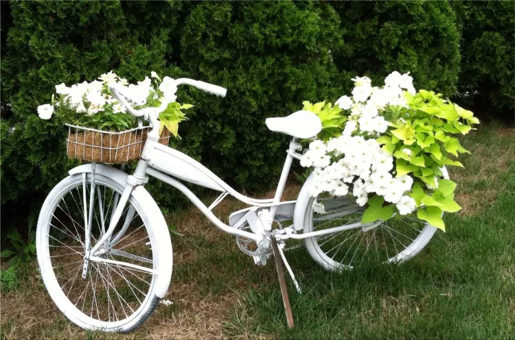 bicycle in a vintage garden