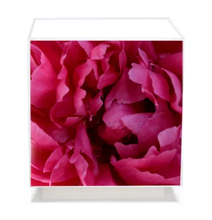 Floral Art, Fuchsia Cube table