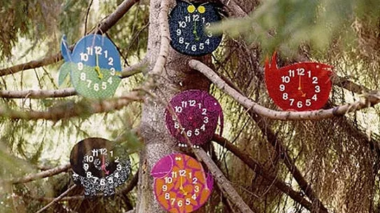 Nelson's Zoo Timers in the tree